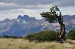 Paisagem da trilha da Loma del Pliegue Tumbado, em El Chaltén, na patagônia argentina